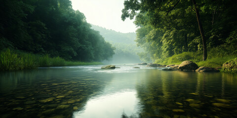 Serene Mountain Stream with Clear Water