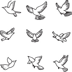 set of birds