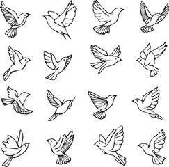 seamless pattern of birds