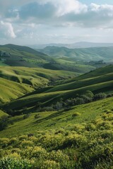 A beautiful green hillside with a few trees and a few flowers. The hillside is very lush and green, and the sky is cloudy