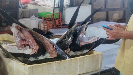 asian fish market huge tuna heads on the counter