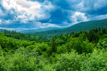 Bieszczady góry las drzewa dolina niebo chmury wiosna lato pochmurnie burza © Dariusz