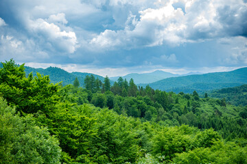 Bieszczady góry las drzewa dolina niebo chmury wiosna lato pochmurnie burza © Dariusz