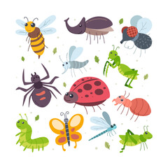 set of insects