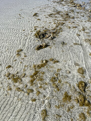 Beach sand and water