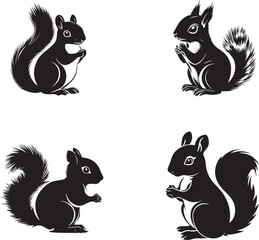 set of squirrel silhouette