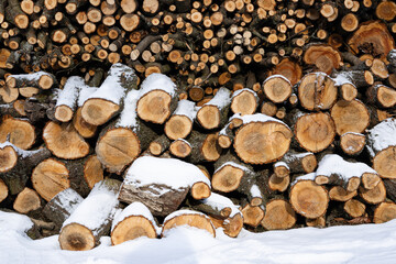 fire wood barn storage winter local scene fuel material background rural village theme concept image