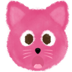 face cat