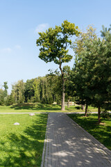 A tranquil park scene featuring a paved pathway surrounded by lush greenery, tall trees, and a vibrant blue sky. The image conveys peace, outdoor recreation, and natural beauty.