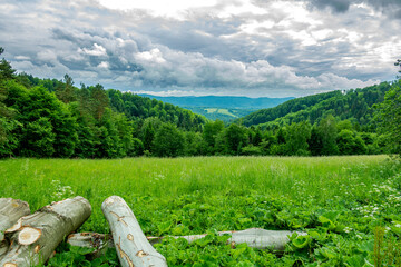 Bieszczady góry las drzewa łąka polana pole dolina niebo chmury wiosna lato pochmurnie burza © Dariusz