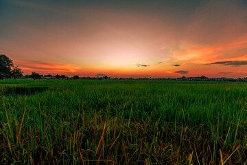 Fototapeta premium Panoramic nature background from high mountains overlooking the beautiful scenery below, green rice fields, big and small trees, beautiful rugged mountains from the viewpoint.