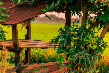 Panoramic nature background from high mountains overlooking the beautiful scenery below, green rice fields, big and small trees, beautiful rugged mountains from the viewpoint.