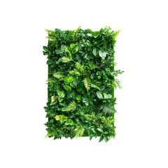 Green plant wall panel isolated on transparent background.