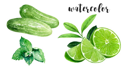 Hand-Painted Watercolor Cucumbers, Mint, and Lime Botanical Illustration
