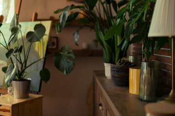 Collection of various tropical houseplants displayed in livingroom. Potted exotic house plants. Home garden, urban jungle.