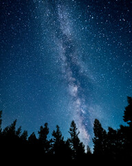 Vertical Milky Way between trees in Nagano, Japan