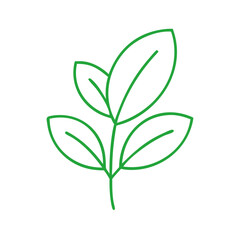 Obraz premium Green Leaf Line Icon on Transparent Background