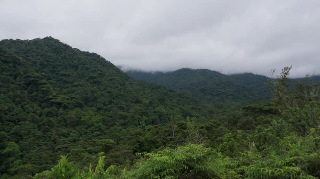 Paisaje de monta&ntilde;as en el bosque tropical cubiertas de nubes en un d&iacute;a de invierno