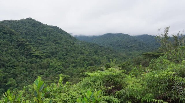 Paisaje de monta&ntilde;as en el bosque tropical cubiertas de nubes en un d&iacute;a de invierno