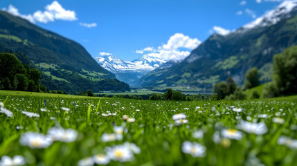 Nature Switzerland Perso