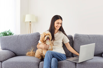 Portrait of a young smiling happy woman freelancer sitting on sofa in the living room at home with her little cute pet dog and working on a laptop. Remote and freelance work concept.