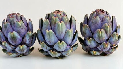Harvesting fresh artichokes in a sunny garden during early summer months