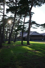 函館奉行書、木漏れ日が差し込む