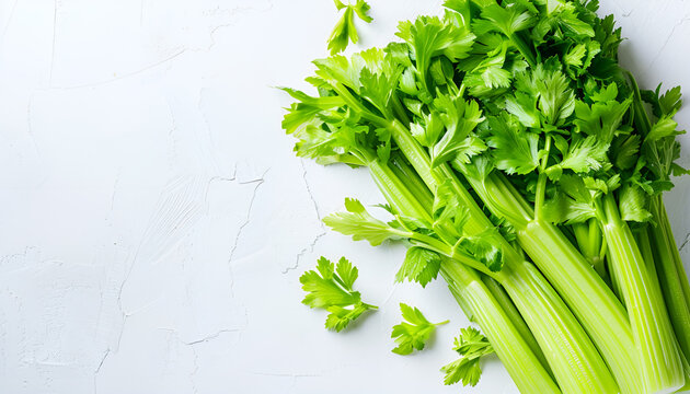 fresh celery isolated on white background.Top view. Flat lay