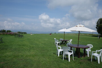 北海道の牧場で夏のひととき