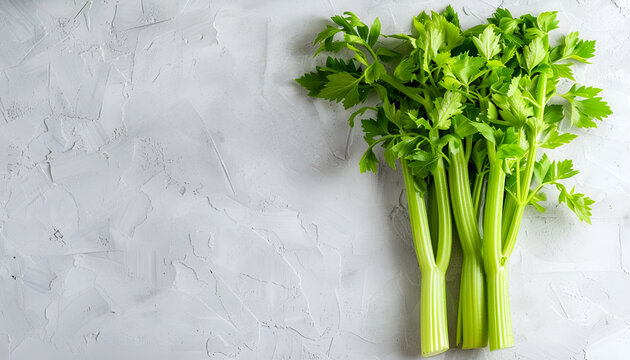 fresh celery isolated on white background.Top view. Flat lay
