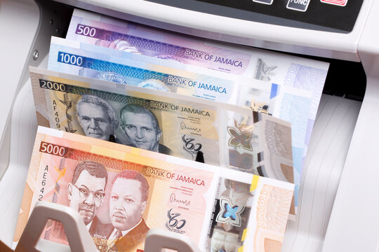 Jamaican dollar in the counting machine