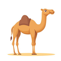 camel cartoon character