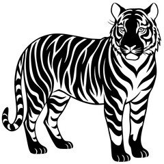 tiger illustration