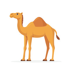 camel cartoon character
