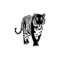 Obraz premium Tiger silhouette vector on white background. 