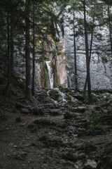  serene waterfall cascades down a rugged cliff, framed by tall trees in a dense forest. The rocky path leading to the waterfall adds a sense of adventure and discovery to the natural setting.
