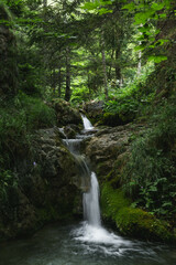 A tranquil waterfall flows over mossy rocks in a lush green forest. The serene water contrasts with vibrant foliage, creating a peaceful and refreshing natural scene.