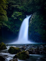 Fototapeta premium Beautiful Japanese waterfall long exposure Izu Island