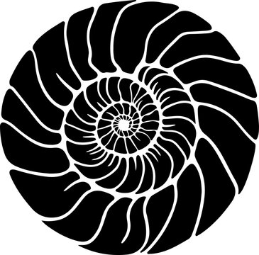 recommend clip art: Stylized Black Nautilus Shell Illustration
