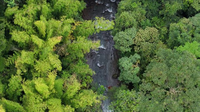 Toma aerea de seguimiento con drone del r&iacute;o rodeado de bosque y mucha vegetaci&oacute;n en el bosque tropical