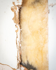 Black mold infestation grows on insulation layer of broken drywall boards flat panel made of gypsum...