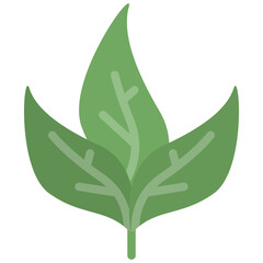 spinach flat icon