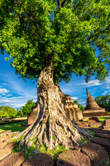 Background atmosphere inside the important historical tourist attraction Sukhothai Historical Park,foreign tourists from all over the world like to bring their children study history during holiday.