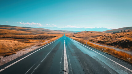 Sunny countryside road stretching to the horizon under clear blue sky
