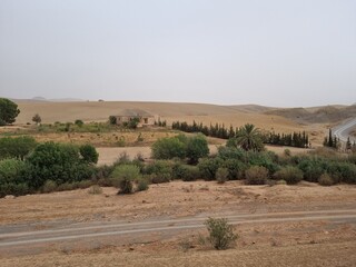 Small country house with plants, palm trees and cloudy weather in Algeria Tiaret