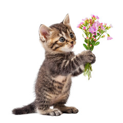 Obraz premium A little kitten standing on its hind legs and holding a bouquet of flowers
