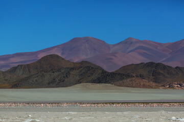 Northern Argentina