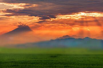 富士山が見える神奈川県郊外の景色