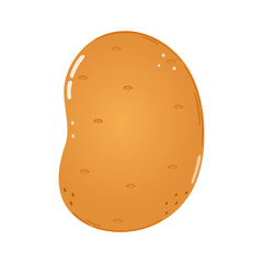 Potato character. Vector hand drawn cartoon kawaii character illustration icon. Isolated on white background. Potato character concept