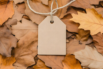 Simple Blank Price Tag Suspended by Rustic Twine | Minimalist and Elegant Product Label for Pricing or Gifting